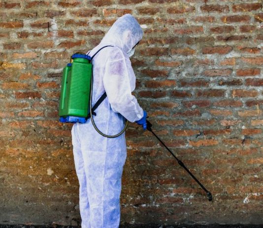 הדברה לעסקים הדברה לעסקים