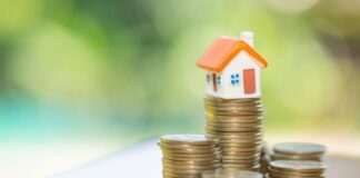 הלוואה בערבות המדינה לעסקים