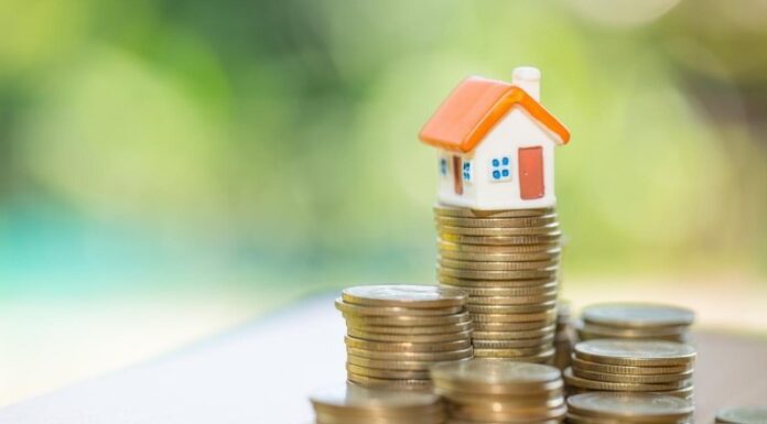 הלוואה בערבות המדינה לעסקים